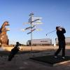 Hole 6: Border Kangaroo