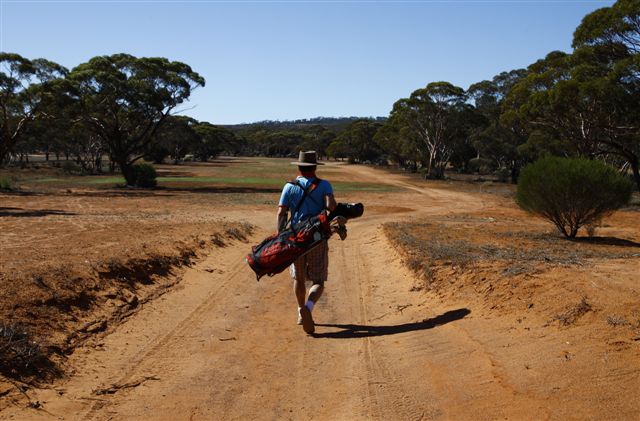 Ngadju fairway