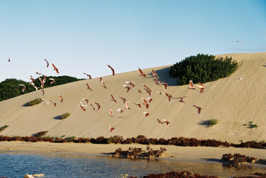 Flinders Bay, Nundroo